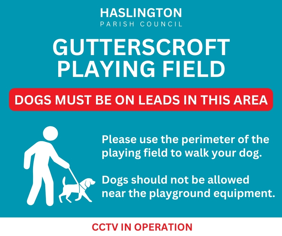Dogs in Gutterscroft Playing Field